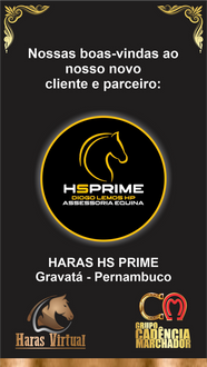 08 - HARAS HS PRIME 1.png