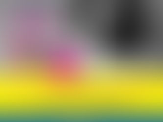 Belchior será o homenageado do FIG