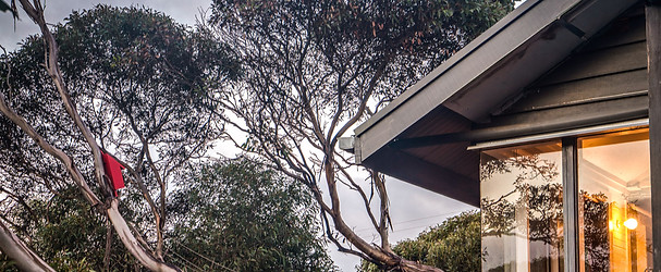 186A0281BL - Rear steps.jpg