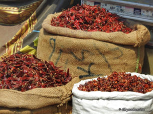 pic chillis ch.jpeg