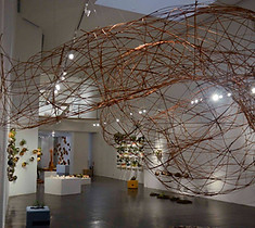 11950310_590559984428839_406351244503952