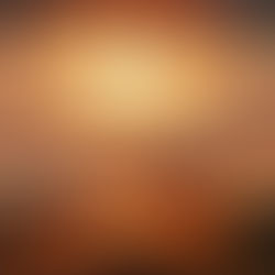 The Rapture and the First Resurrection