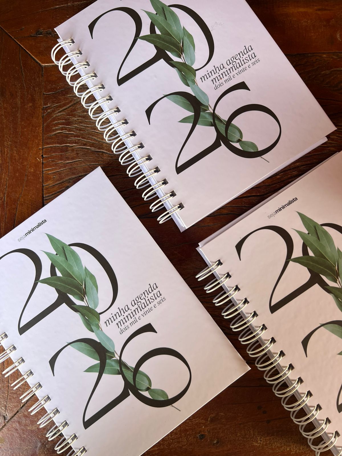 Agenda Minimalista 2026 — seção de dados pessoais e profissionais