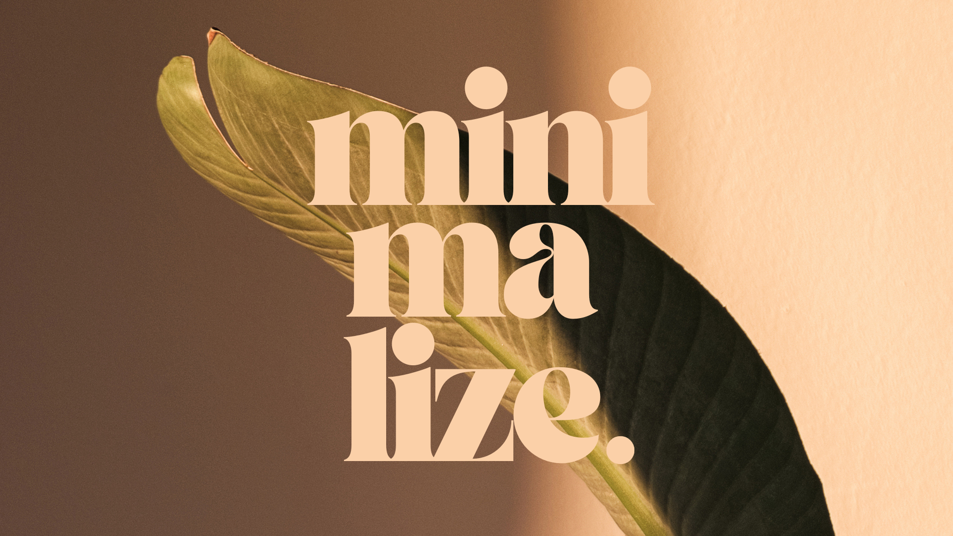 Minimalize.IA — Destralhe e organize sua casa com IA