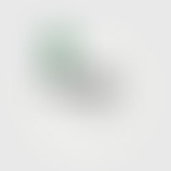 6 lições que aprendi esse ano!