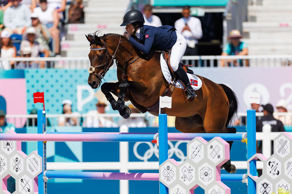 Equestrian rider and horse jumping a fence at the Olympics