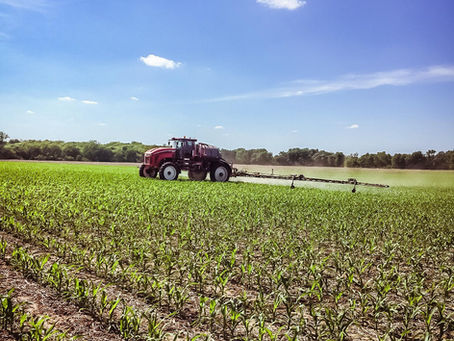 Top 6 Spray Considerations for Post Applications in Corn