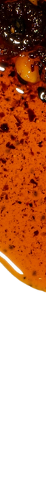 Untitled design.png
