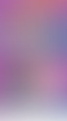 Guillermo Orozco Gómez