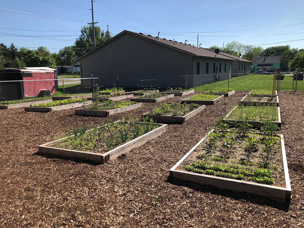 Spring Planting