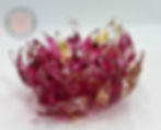 Thumbnail: Red Warm Toned Flowering Coral Anemone Bowl Made in Newport Rhode Island USA Glass Sculpted Blown Home Decor Sea Ocean Reef