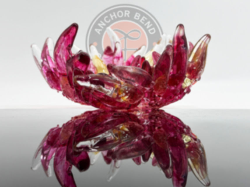 Red Warm Toned Flowering Coral Anemone Bowl Made in Newport Rhode Island USA Glass Sculpted Blown Home Decor Sea Ocean Reef