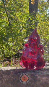 Thumbnail: Hand Blown Glass Sculptural Trees Made in Newport RI USA christmas holiday seasonal gift