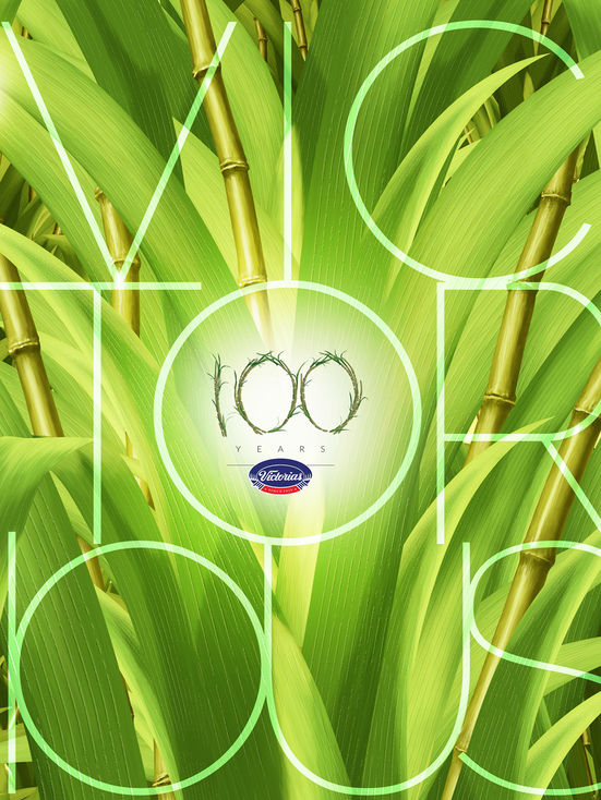 VMC, Victorias Milling, Coffee Table Book, cover design, book layout, publisher, writer, photography, graphic design, illustration, sugarcane book cover