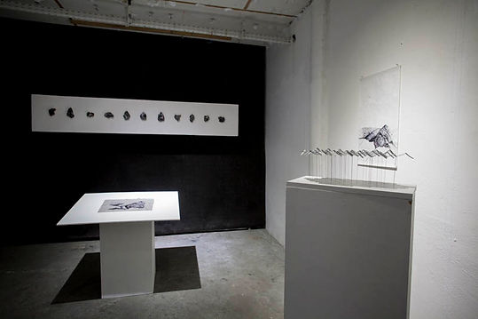 _MG_0716.jpg