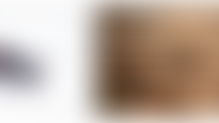 Winged ant, damaged wood