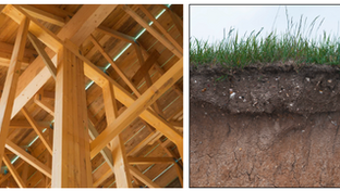 Ideal conditions for timber pests