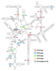 Home | NA3DMotif (Nucleic Acids 3D Motif)