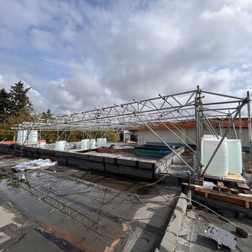 Side view of roof protection scaffold installed by IBEK Scaffolding Ltd for the weather-protection system at Alfred Dixon Elementary School.