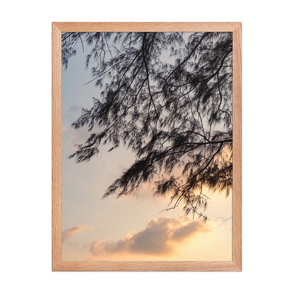 Thumbnail: Andaman Sunset Framed Beach Photography Wall Art