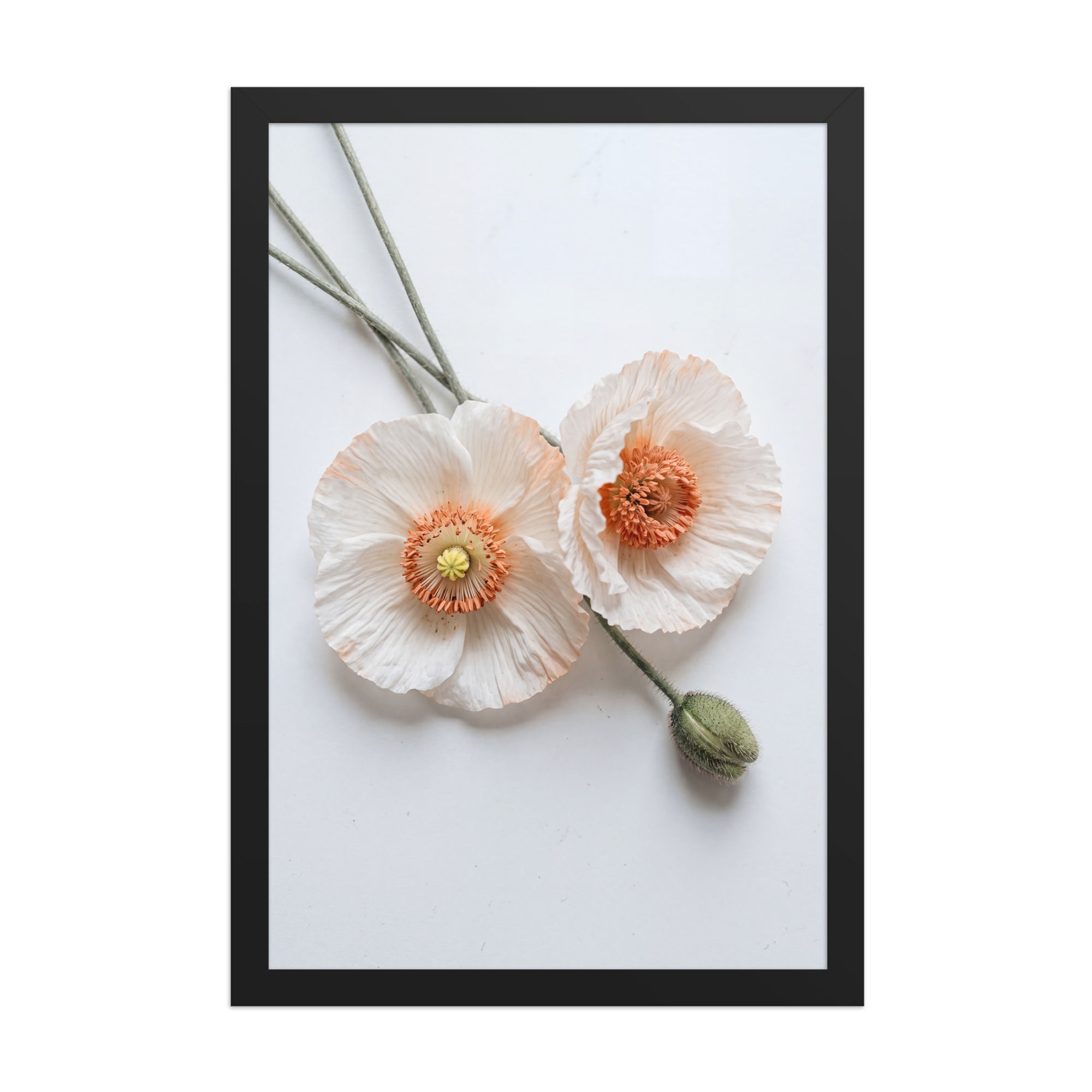 Creamy Peach Poppy Stems Botanical Photography Framed Wall Art