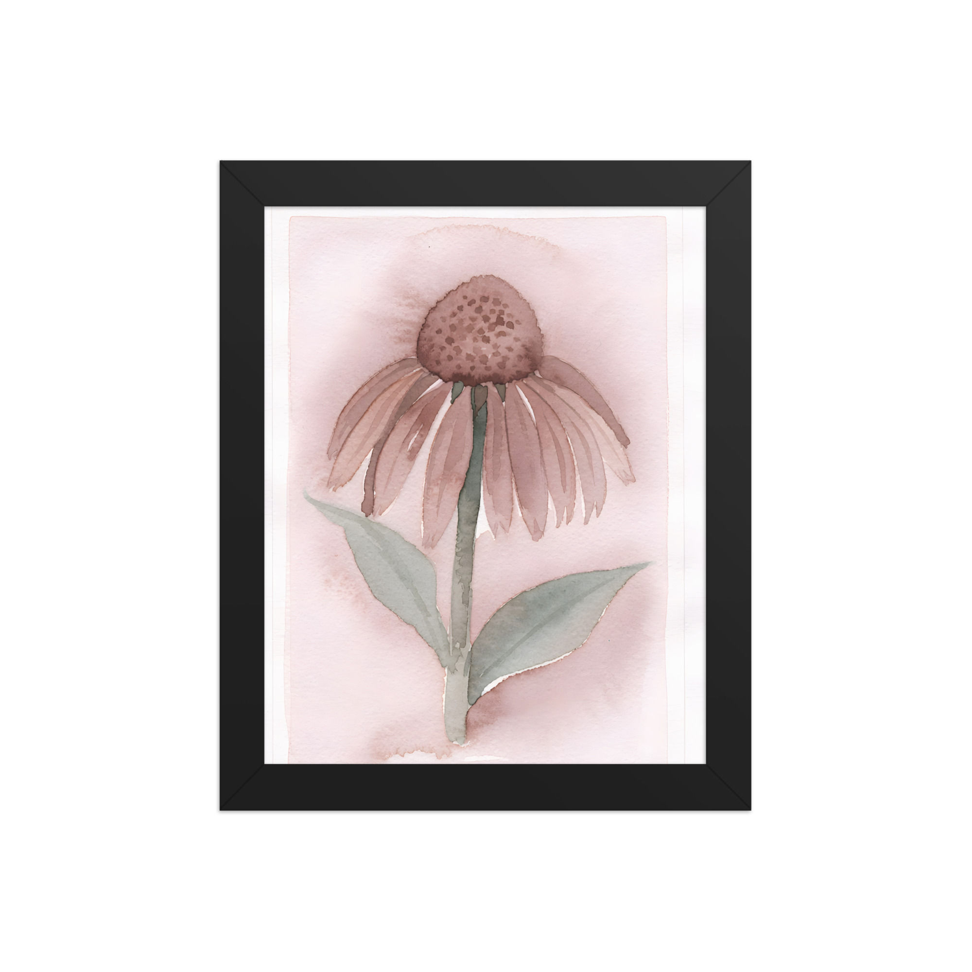 Echinacea Bloom Framed Botanical Print