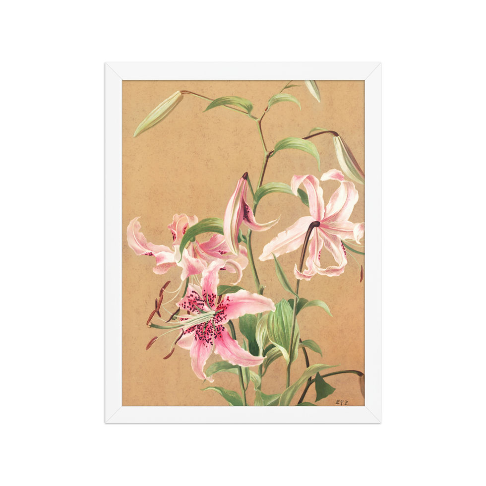Thumbnail: Pink Lilies | Vintage Botanical | Framed Print