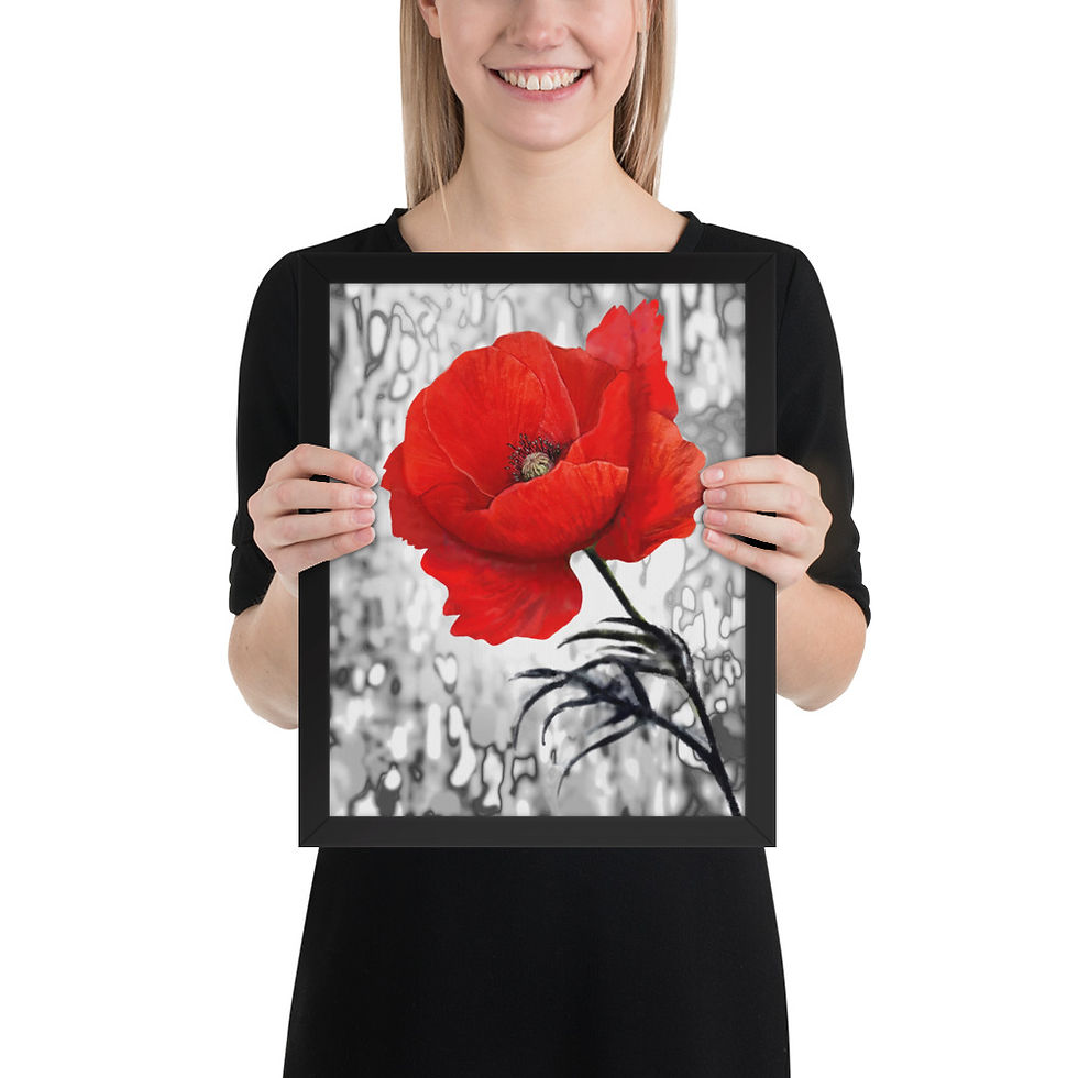 Thumbnail: Red Rose framed poster with matte black frame, printed on thick matte paper, featuring a vibrant red poppy on a black and white background.
