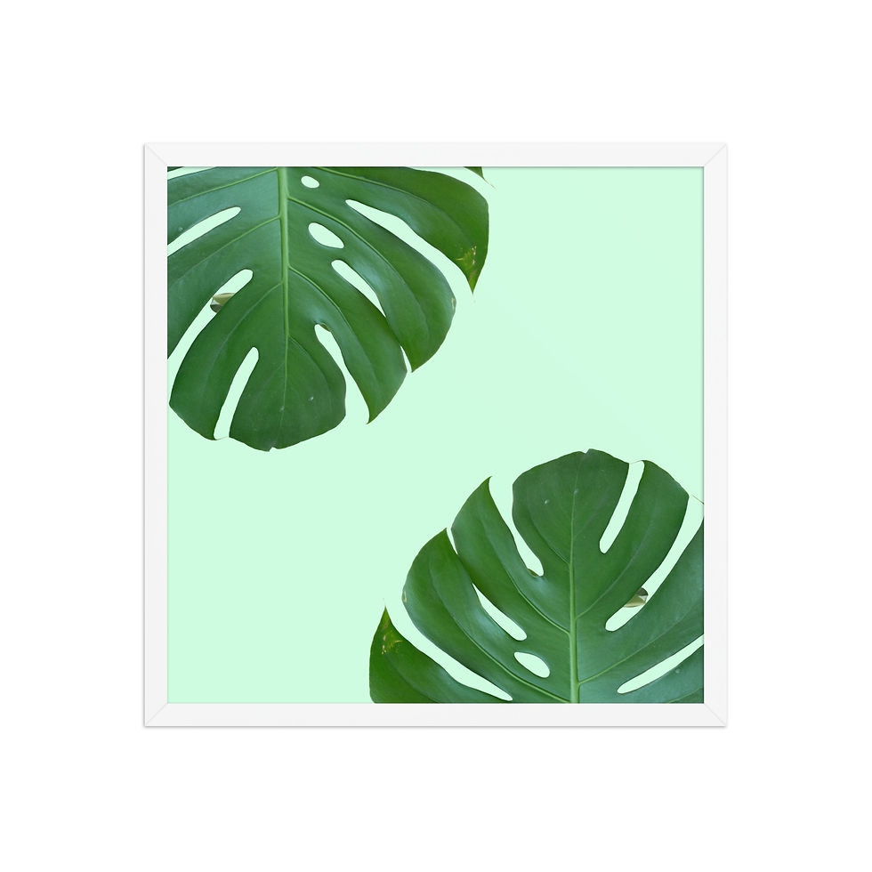 Thumbnail: Framed Monstera Leaves Wall Art - Tropical Botanical Decor for Home