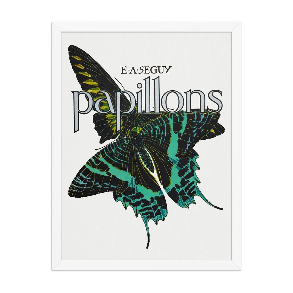 Thumbnail: Papilons Art Print Seguy