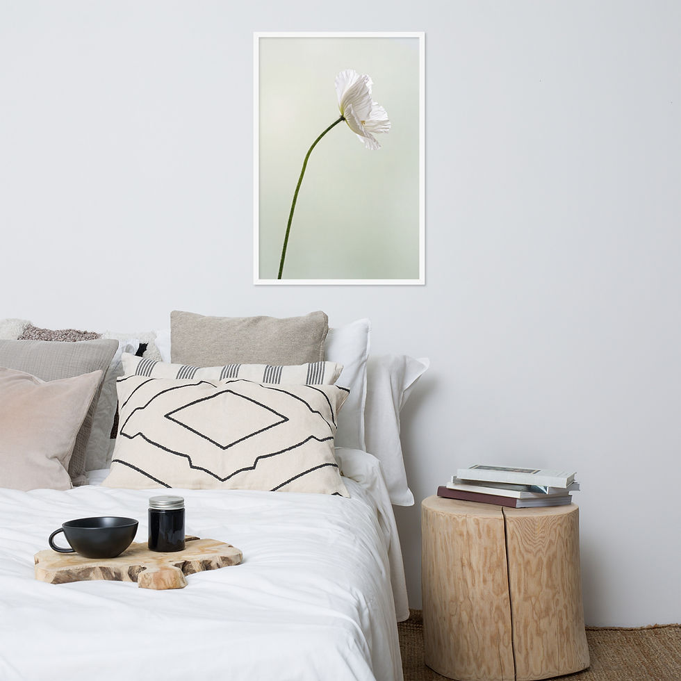 Thumbnail: Poppy Grace — Single White Poppy — Framed Print