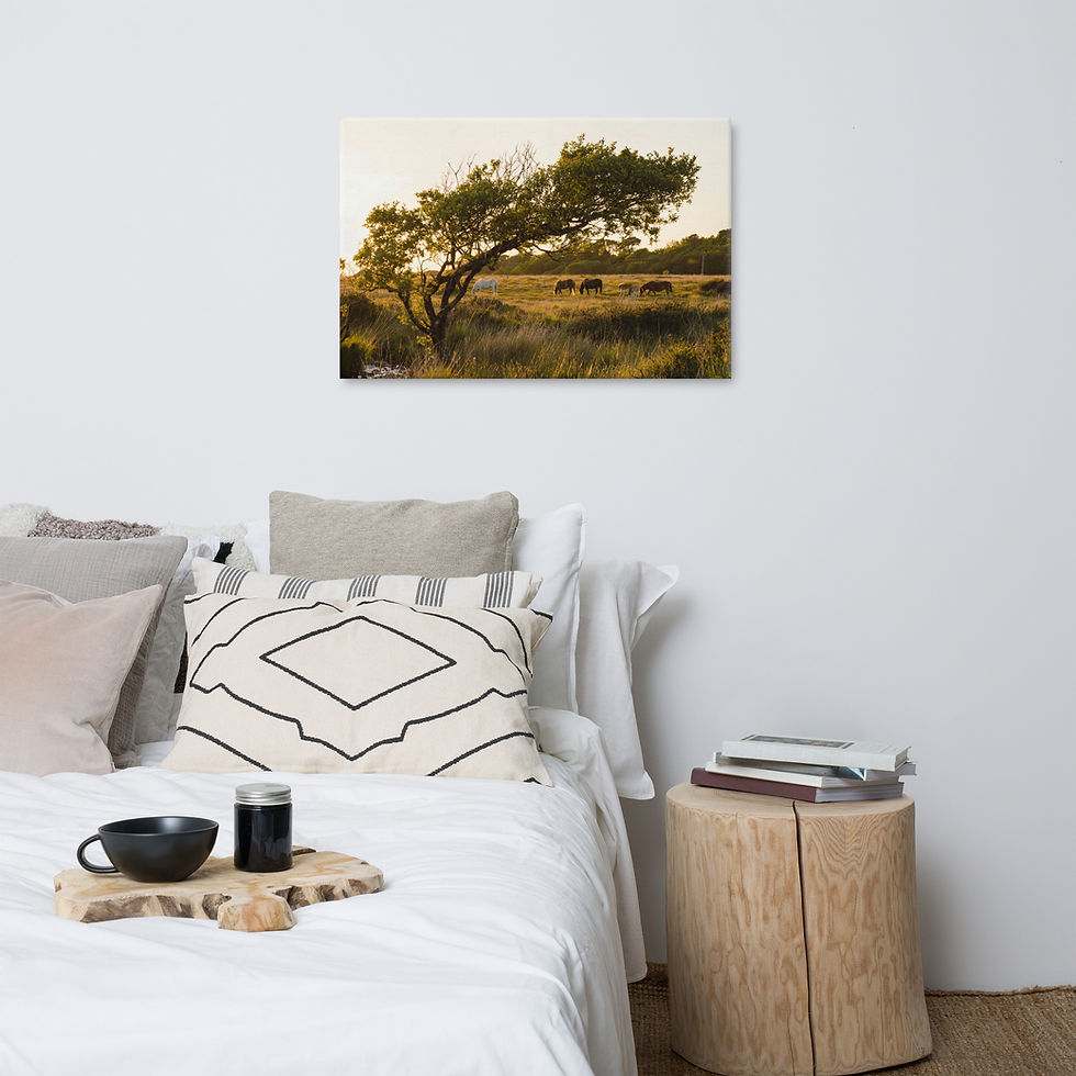 Thumbnail: Golden Hour Horse Canvas, Frameifi, framed wall art, rural landscape, framed art, wall art, framed poster, horses grazing under tree at sunset.