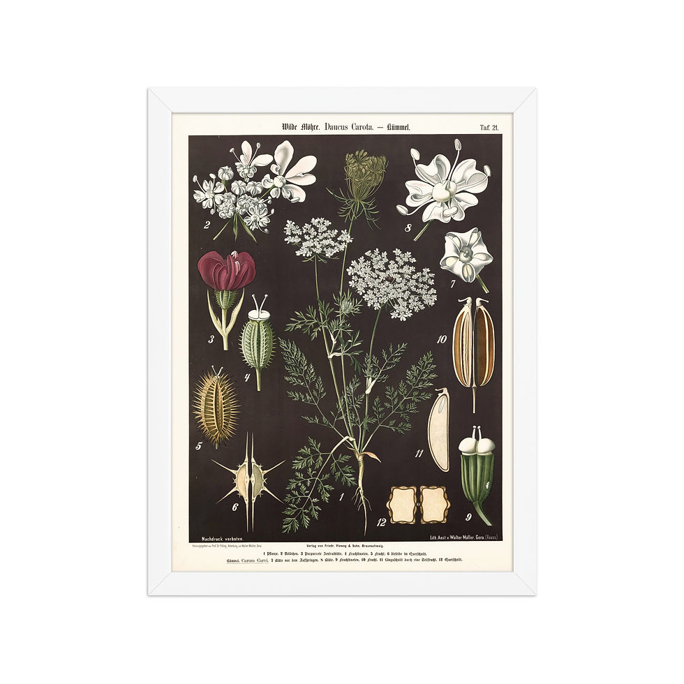 Thumbnail: Framed Botanical Illustrations - Stylish Wall Art for Home Decor