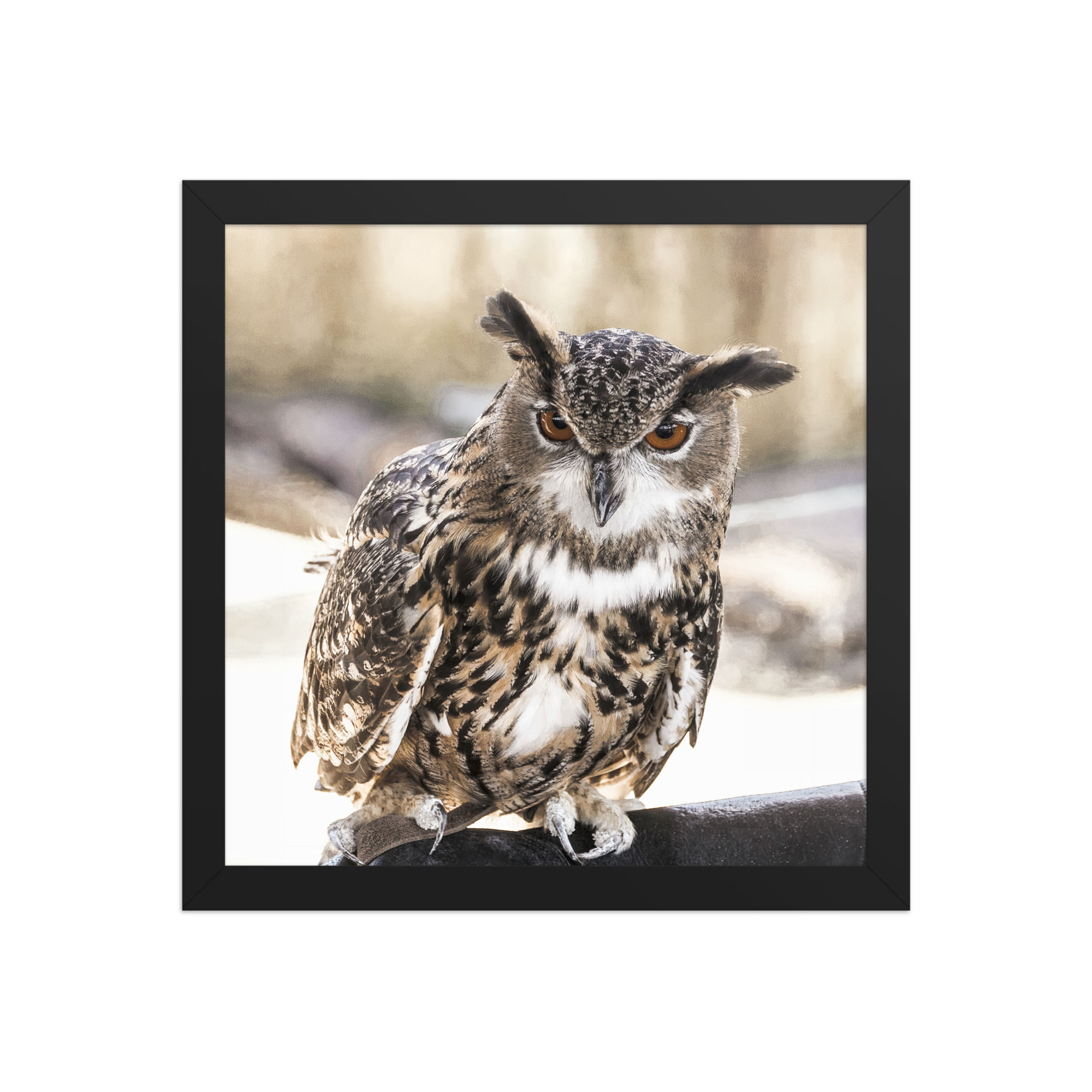 Wise Sentinel Framed Wall Art for Mystical Charm