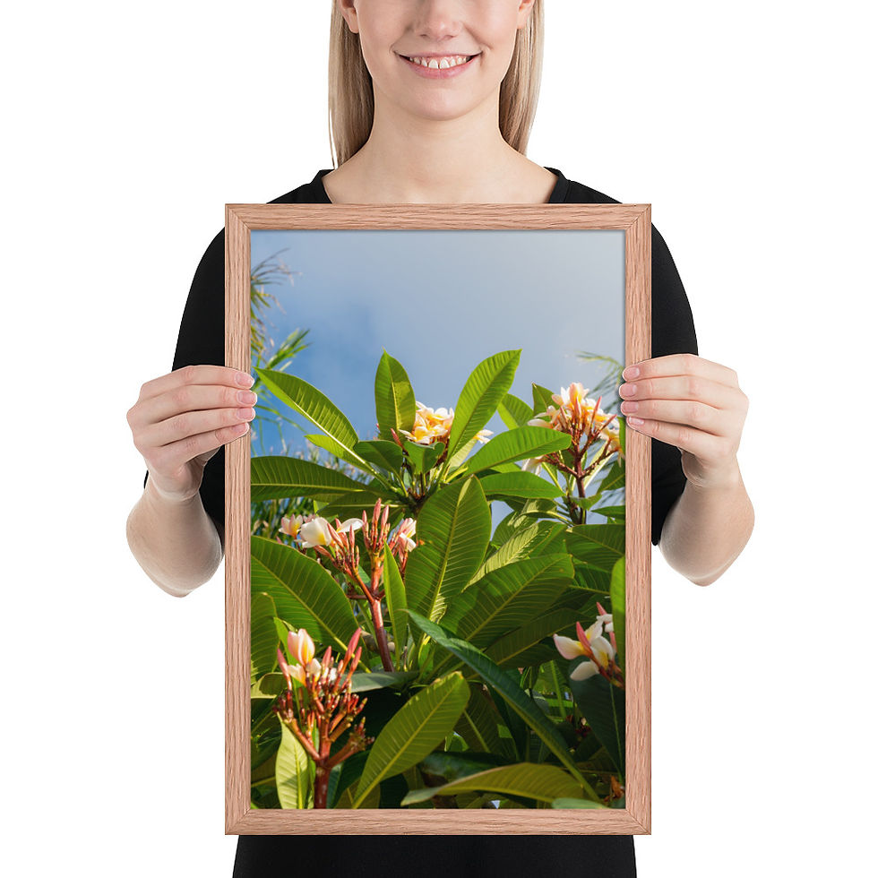 Thumbnail: Hong Kong Flowers Photography