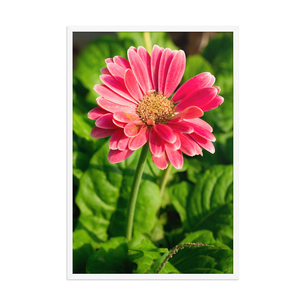 Thumbnail: Spring Flowers | Framed Landscape Photography Poster 