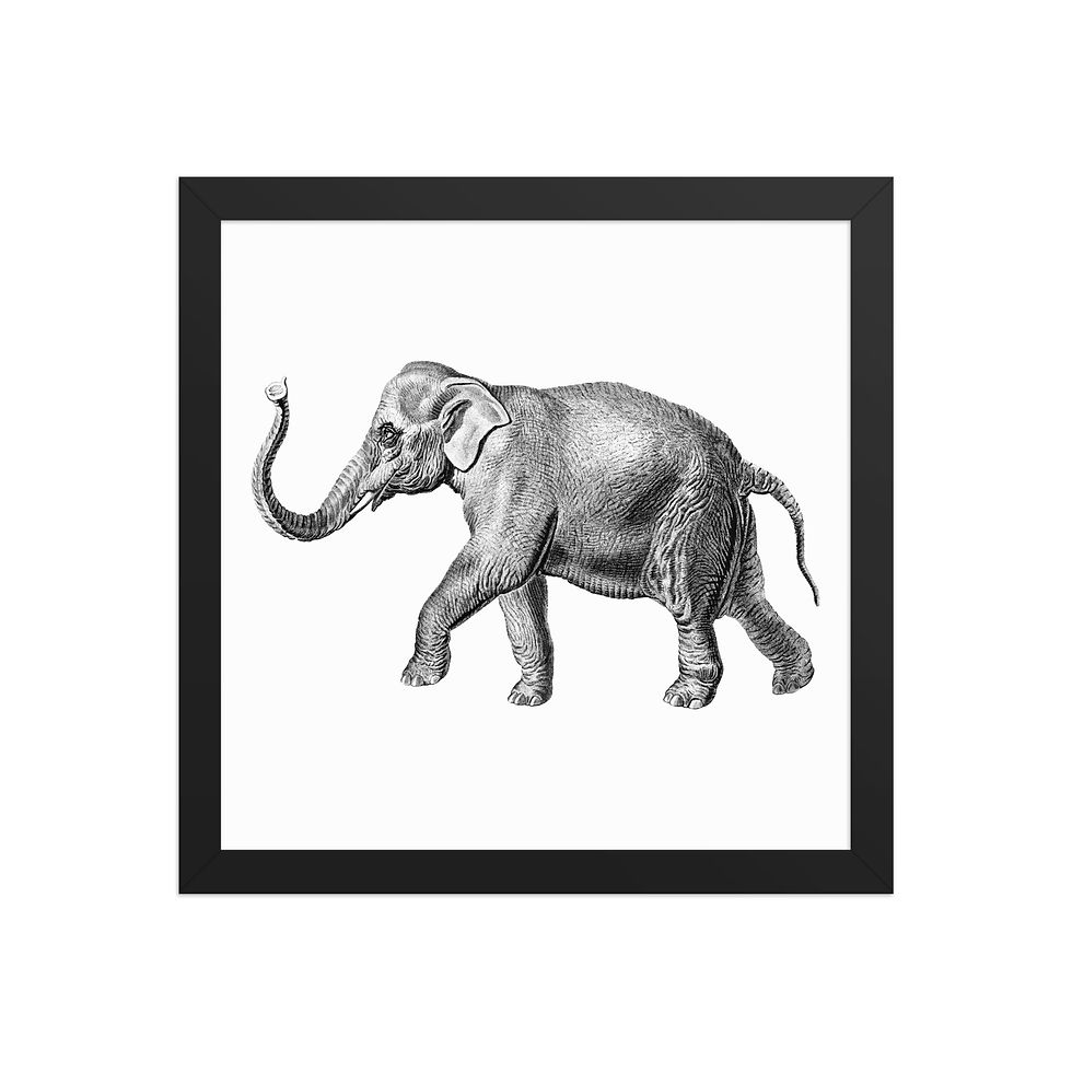 Thumbnail: Elephant | Framed Wildlife Art for Living Rooms