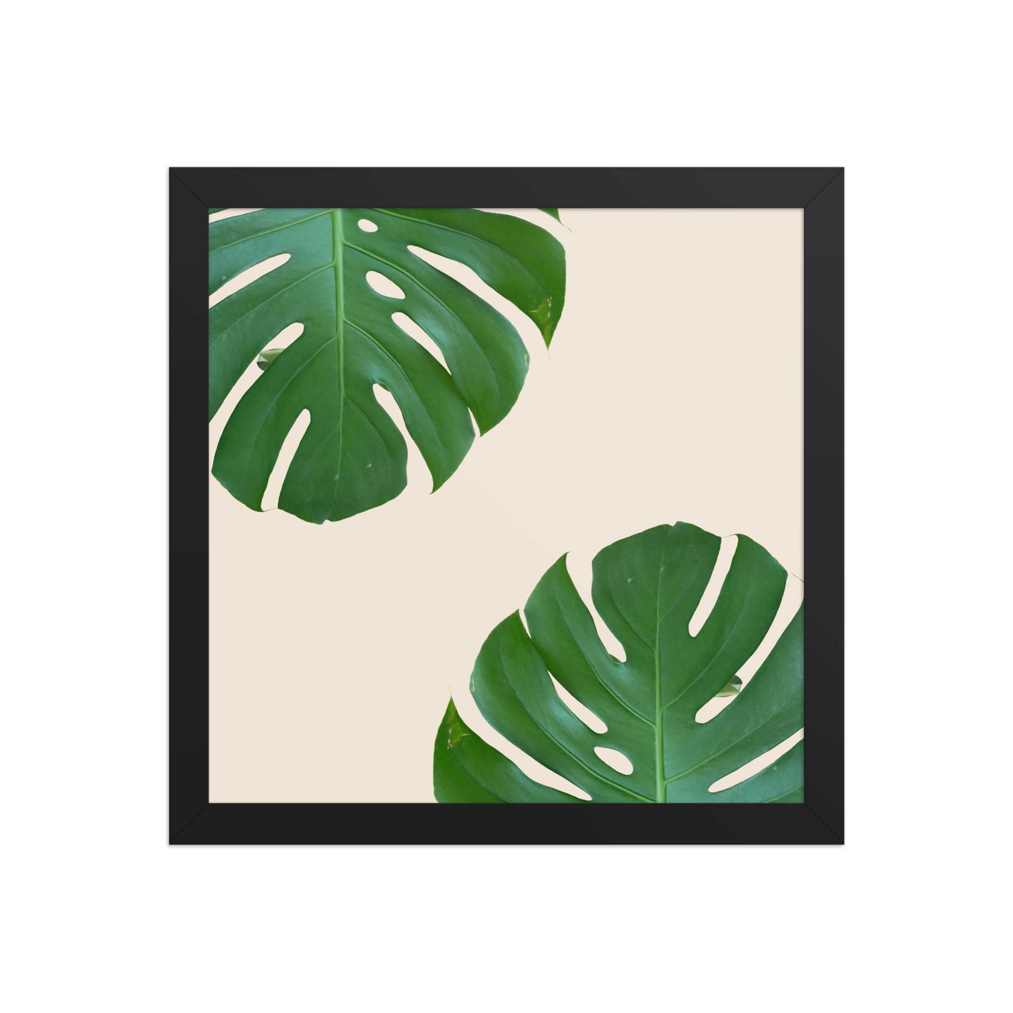 Framed Monstera Leaves Wall Art - Tropical Botanical Decor for Home