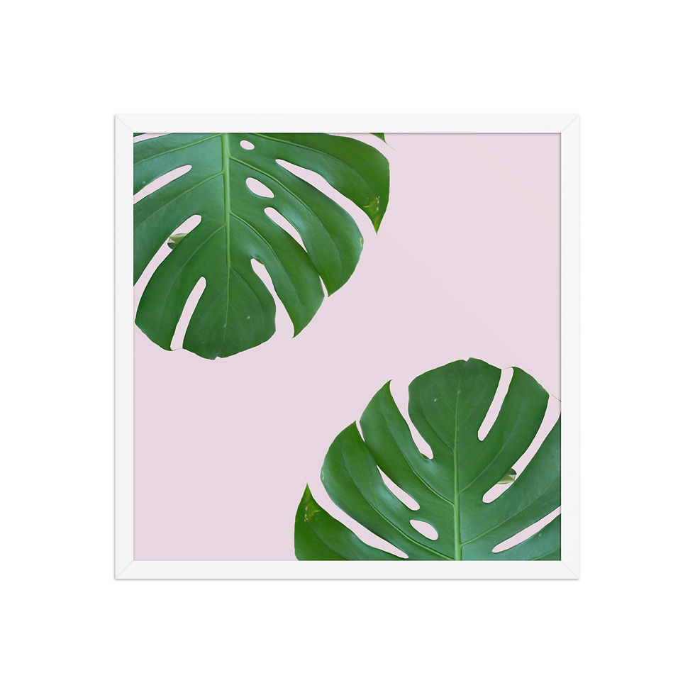 Thumbnail: Framed Monstera Leaves Wall Art - Tropical Botanical Decor for Home