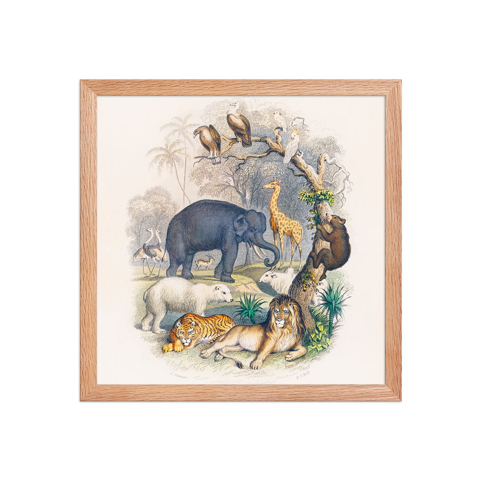 Thumbnail: Framed Wildlife Art for Living Rooms