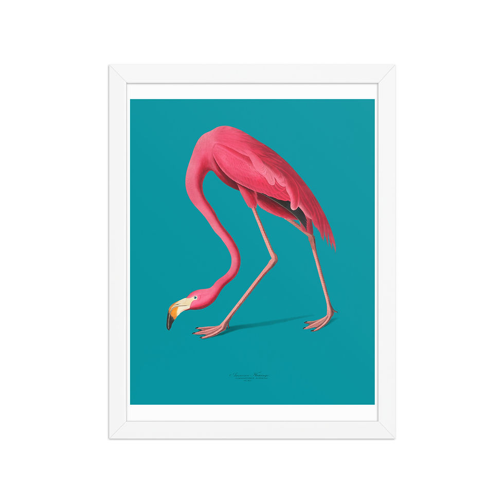 Thumbnail: Vintage Audubon Flamingo Art Print | Chic Coastal Wall Decor