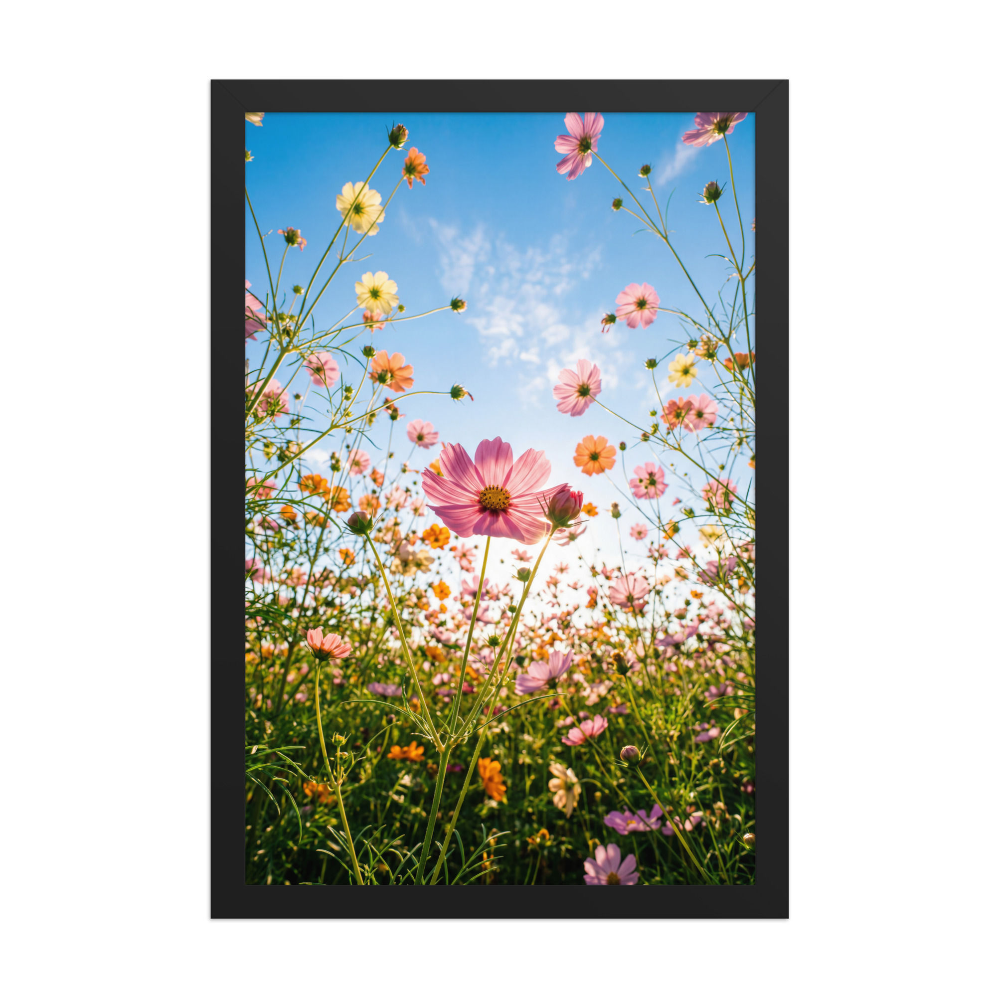 Meadow Glow — Wildflower Field, Provence — Framed Mega Print