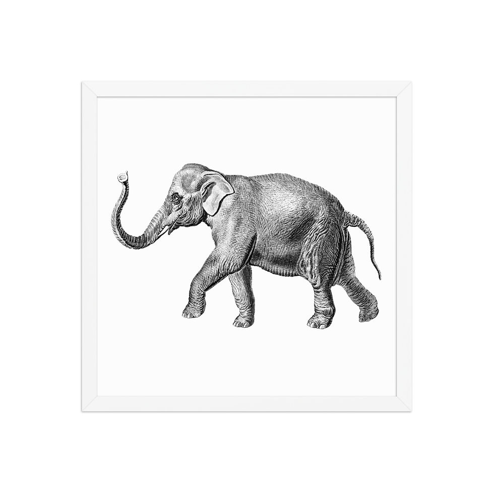Thumbnail: Elephant | Framed Wildlife Art for Living Rooms