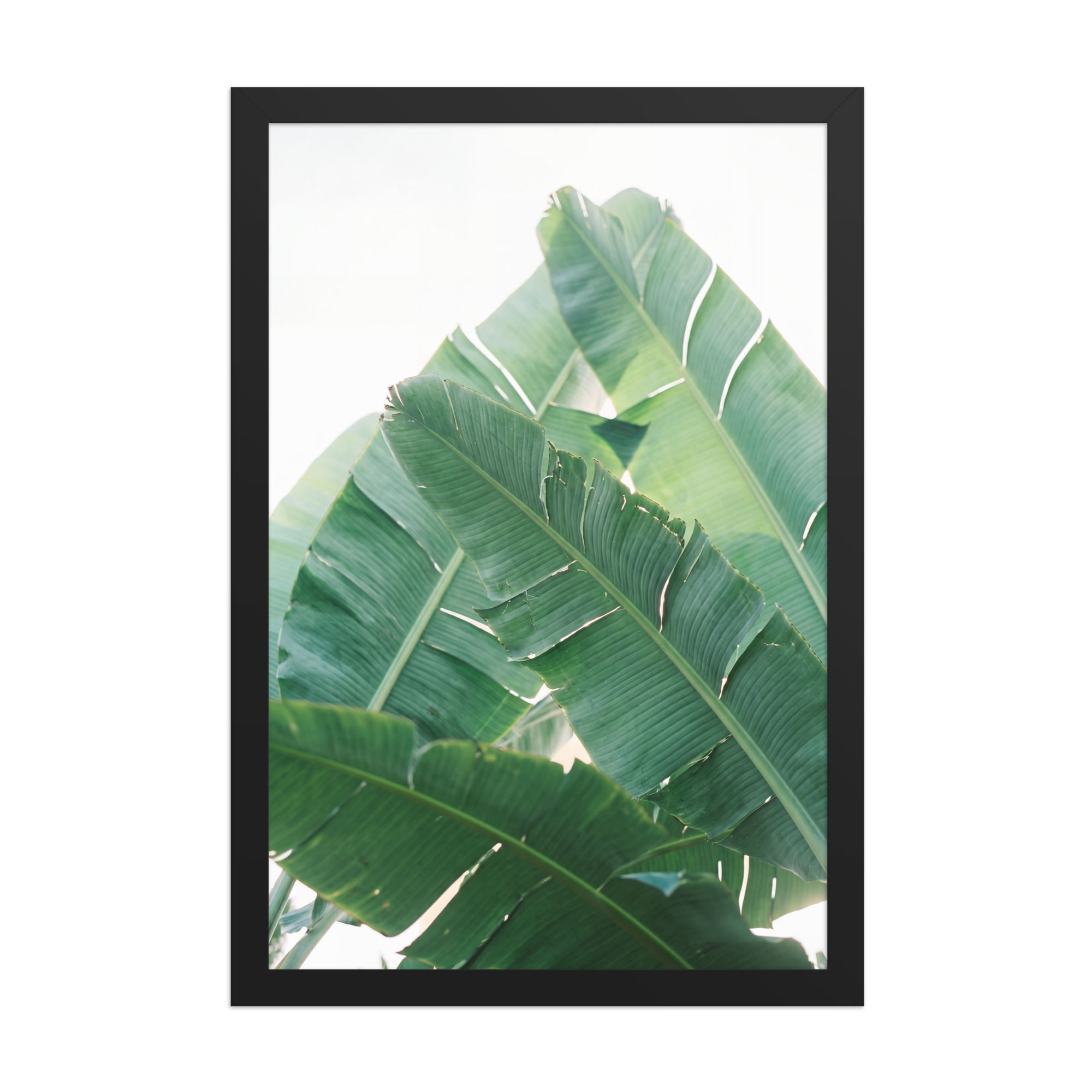 Tropical Banana Leaf Photography Framed Wall Art