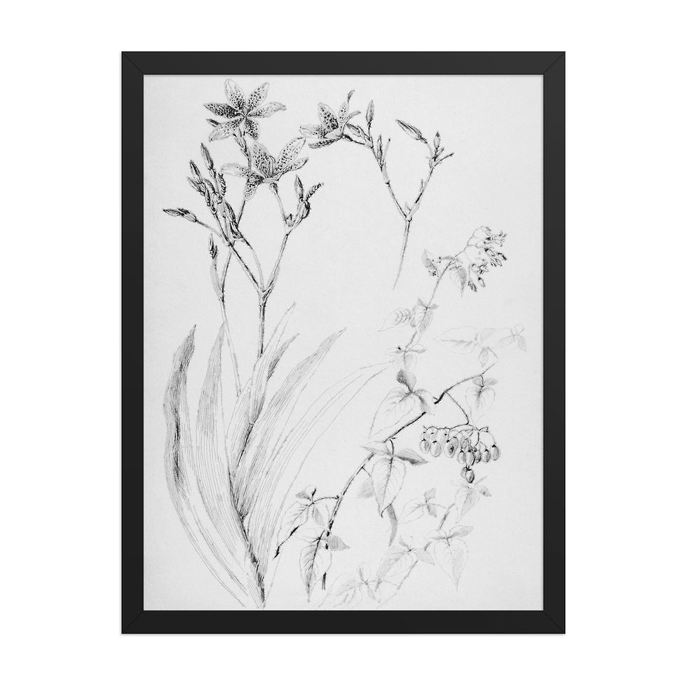 Thumbnail: Minimalist Plant Vintage Style Art Print