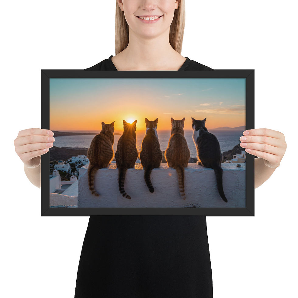Thumbnail: Sunset Watchers — Cats at Golden Hour — Framed Animal Print