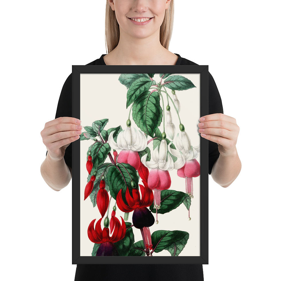 Thumbnail: Fuchsia Flowers Framed Wall Art