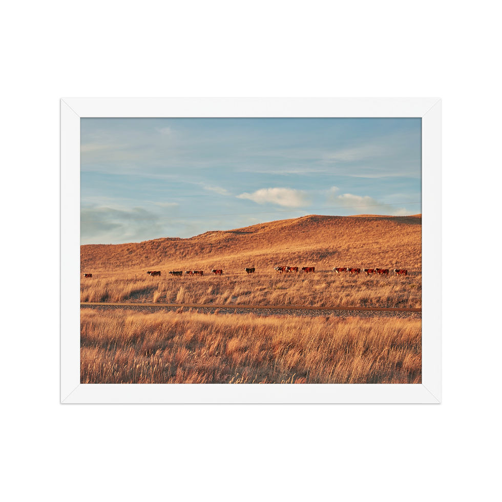 Thumbnail: Pastoral Tranquility Wall Art: Golden Plains