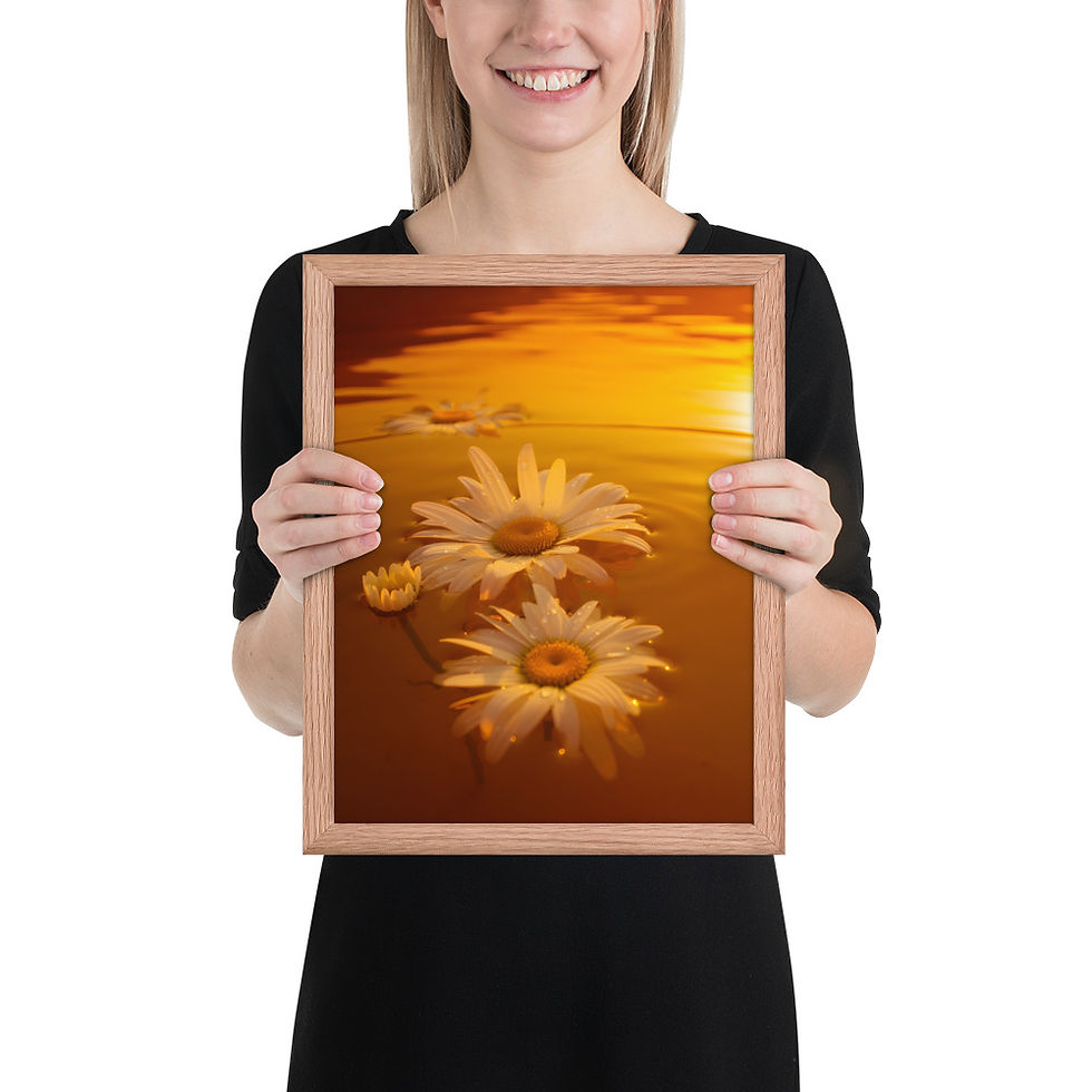 Thumbnail: Sunset Sea Daisies Framed Wall Art