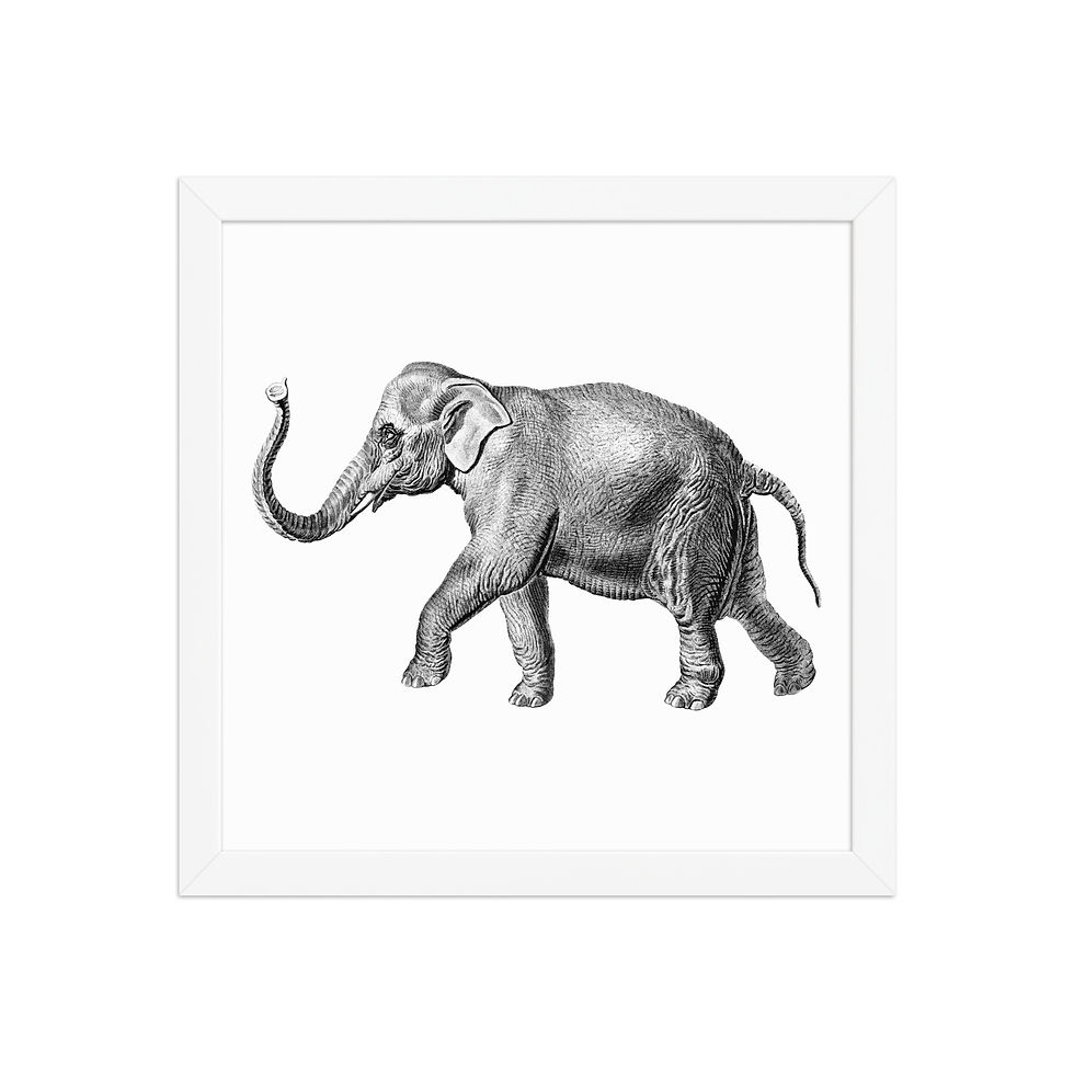 Thumbnail: Elephant | Framed Wildlife Art for Living Rooms